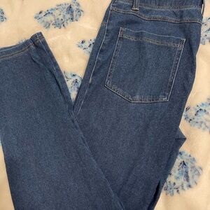 Classic Blue Denim Jeggings